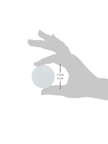 Omicron 170047R Nylon Membrane Filters, 0.2 μm, 47 mm - Image 2