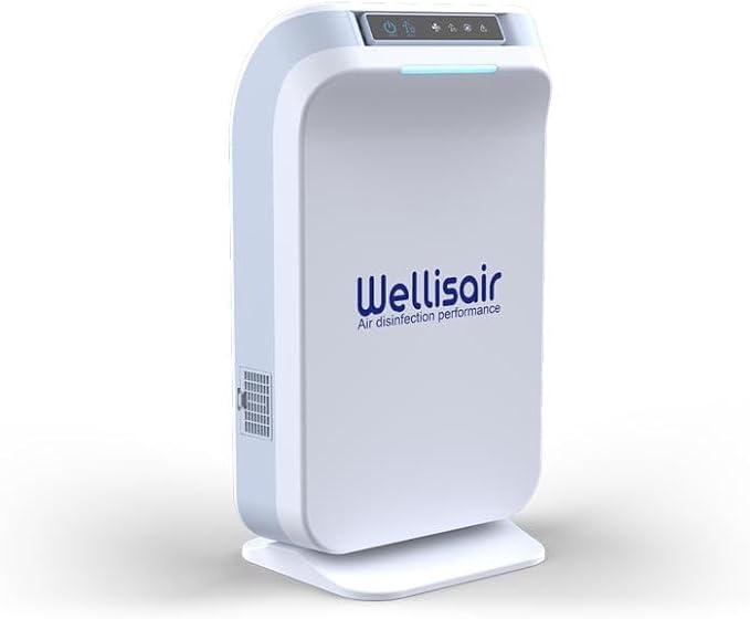 Wellis Air Purifier for Home, Electric HEPA Filter, Large 14.5x8.6x5.9 Inches - Image 2