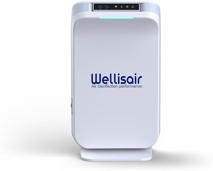Wellis Air Purifier for Home, Electric HEPA Filter, Large 14.5x8.6x5.9 Inches - Image 3