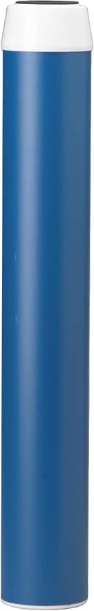 Pentair Pentek GAC-20 Carbon Water Filter, Whole House Granular Activated by PENTAIRPENTEK