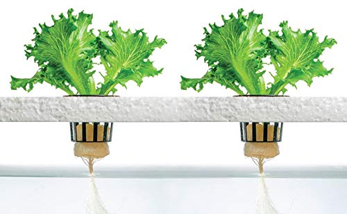 4 Stage - Hydroponics Reverse Osmosis Water Filtration System | 100 GPD | Water - Image 5