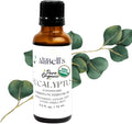 AliBell's- Essential Oils Eucalyptus - Essential Oils for Diffuser - 15 ml Undiluted Therapeutic Grade A Organic Concentrate, Multi-Purpose- Aromatherapy, Humidifier, Bath, Soap Making, Hair Care