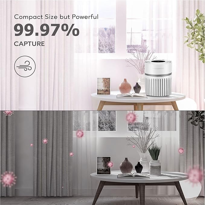 MEGAWISE EPI810 Air Purifier forLarge Room, 215 sq ft Coverage, Real-Time Air - Image 3