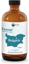 Fennel Essential Oil (Sweet Fennel) - Direct from Balkan Essential Oils - Pure Aromatherapy Diffuser Oils | 100% Pure Therapeutic Grade Natural Aceite de Hinojo - 8oz