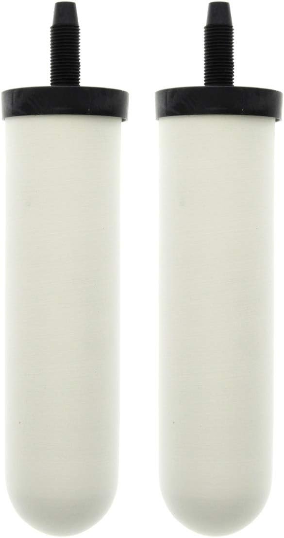 Doulton W9121214/British Berkefeld W9121215 0.5 Micron ATC Super Sterasyl by DoultonWaterFilters