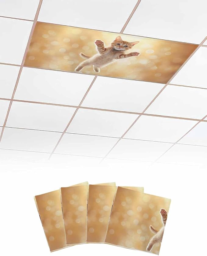 Cute Orange Cat Fluorescent Light Covers by Unknown