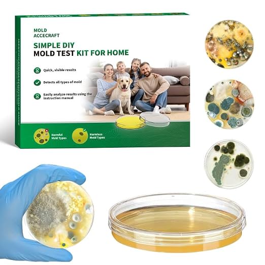 Mold Test Kit for Home by Accecraft