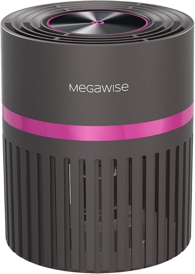 MEGAWISE Home air purifier, True HEPA & Activated Carbon by MEGAWISE