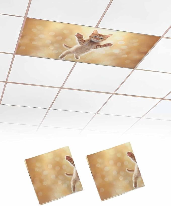 Cute Orange Cat Fluorescent Light Covers by Unknown