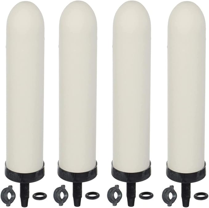 HUINING 4PCS 10-inch Replacement Ceramic Filter Candle by HUINING