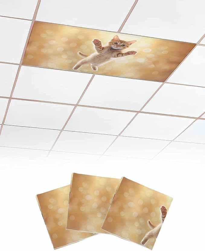 Cute Orange Cat Fluorescent Light Covers by Unknown