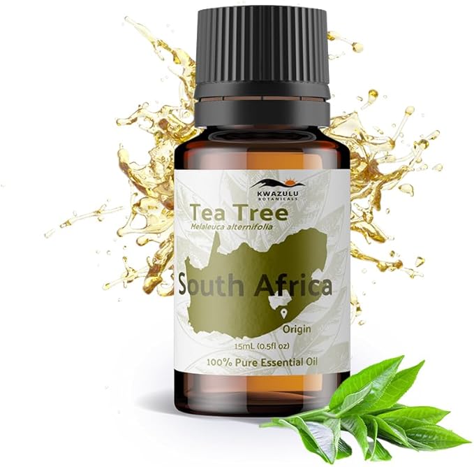 Tea Tree Essential Oil - Direct from Kwazulu Botanicals South Africa - Steam Distilled - Aceite Esencial de Árbol de Té for Aromatherapy, Diffuser, DIY Candle and Soap Making - 15ml