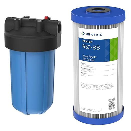 Pentair Pentek Big Blue Filter Housing and Sediment Water Filter Bundle | R50-BB by PENTAIRPENTEK