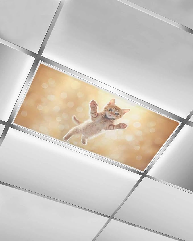 Cute Orange Cat Fluorescent Light Covers by Unknown