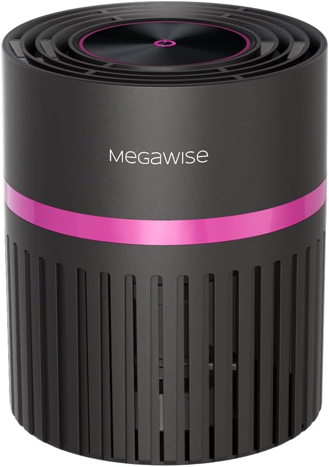 MEGAWISE Portable Air Purifier, H13 True HEPA 3-in-1 Filter, 99.97% 0.3 Micron by MEGAWISE