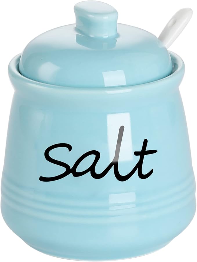 ONTUBE Ceramic Salt Bowl with Lid and Spoon 12oz (Turquoise)