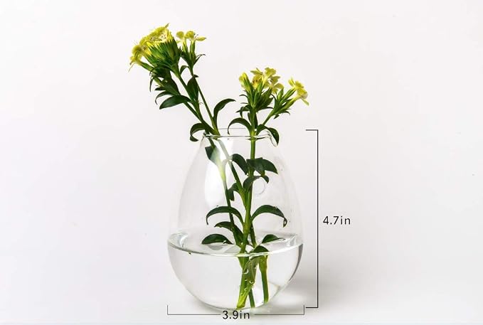 Kingbuy Egg Shaped for Propagating Hydroponic Plants 4 Pack Wall Planter | - Image 4