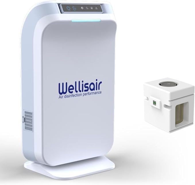 Wellis Air Purifier for Home, Electric HEPA Filter, Large 14.5x8.6x5.9 Inches by INWEG