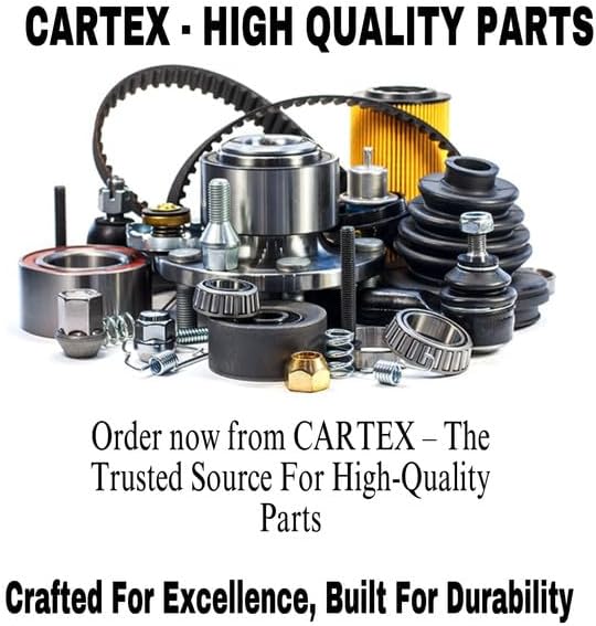 CARTEX 2 Pieces Fuel Filter MT40223960 6256997M1 - Image 2