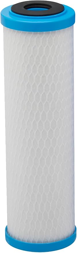 Pentair Pentek ChlorPlus Protect 10 Replacement Cartridge, 1 Micron Carbon Block by PENTAIRPENTEK