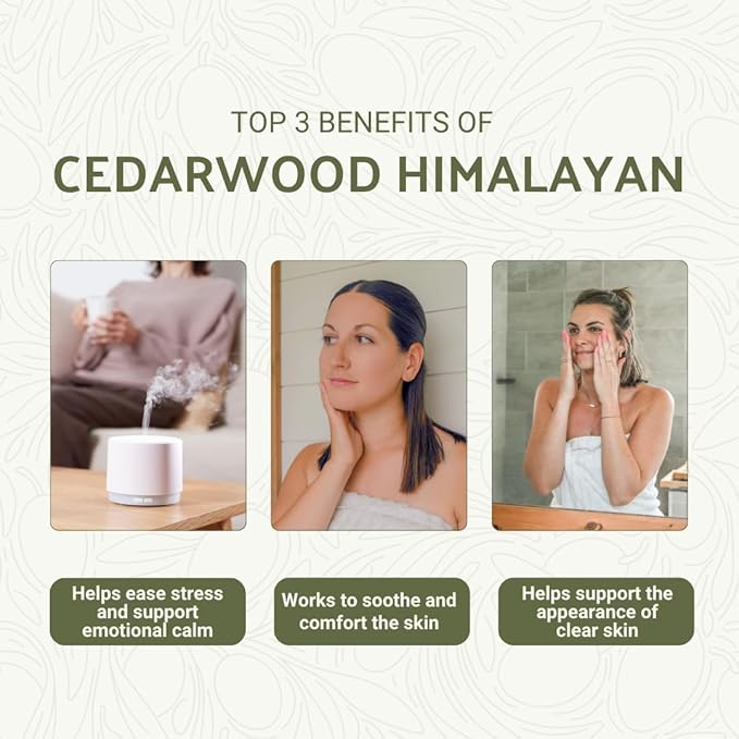 Cedarwood Himalayan Essential Oil - 100% Pure Steam Distilled Natural Cedarwood Himalayan Oil (Aceite de Cedro) from Natural Biotech NBT India for Aromatherapy & DIY Projects - 2lbs