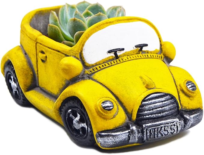 Cute Cacti & Succulent Plants Pot, Succulent Decor Planter Pot Indoor/Outdoor by Ascrafter