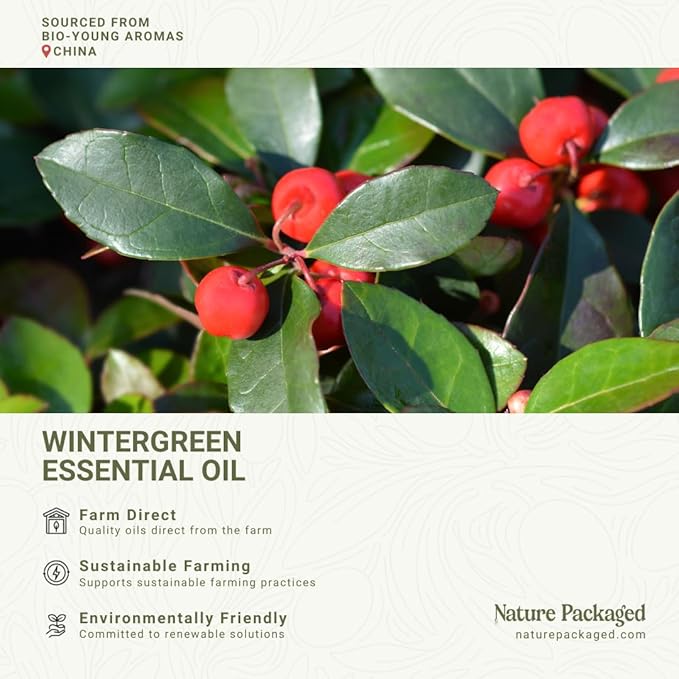 Wintergreen Essential Oil - Direct from Bio-Young Aromas China - Steam Distilled - Aceite de Gaulteria for Aromatherapy, Massage, Diffuser, DIY Candle and Soap Making - 15ml