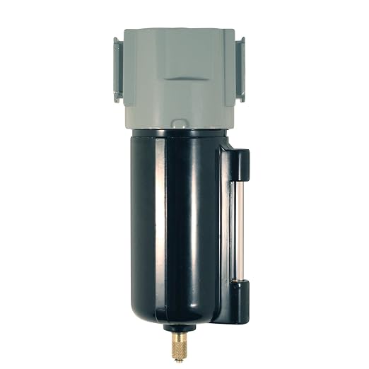 MILTON 1020-6 1/2 NPT Micro Filter by Milton