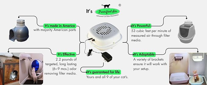Product Bundle A - Image 4