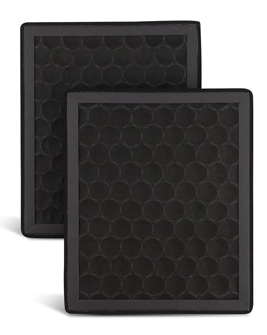 2Pcs Activated Carbon H2D H2S Air Filter Fit by Unknown