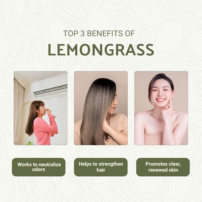 Lemongrass Essential Oil - Natural Aceite de Hierba Limón from Norex Flavours India - Lemongrass Essential Oils for Hair, Aromatherapy and Massage (8oz)
