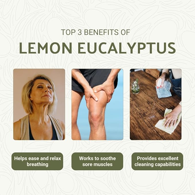 Lemon Eucalyptus Oil by Eucaliptus from Brazil - Pure Lemon Eucalyptus - 100% Pure Steam Distilled Natural Aceite de Eucalipto Limón - Aromatherapy - Premium Therapeutic Grade (22lbs)