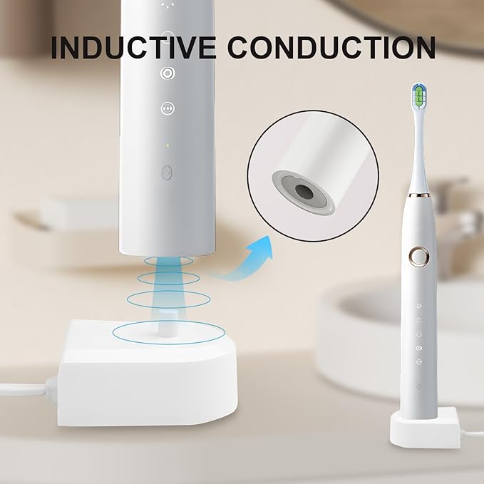 Charger Base Replacement for Philips Sonicare Electric Toothbrush 4100 5100 6100 6500 7500, HX6100 HX6240 HX6240-05 HX6250 HX6530 HX6610 HX6730 HX684a HX686p, Waterproof Power Cord