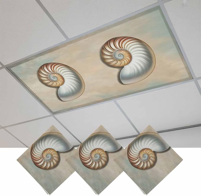 Fluorescent Light Covers for Ceiling Lights Shell Conch Magnetic Light Filters by Home+L6