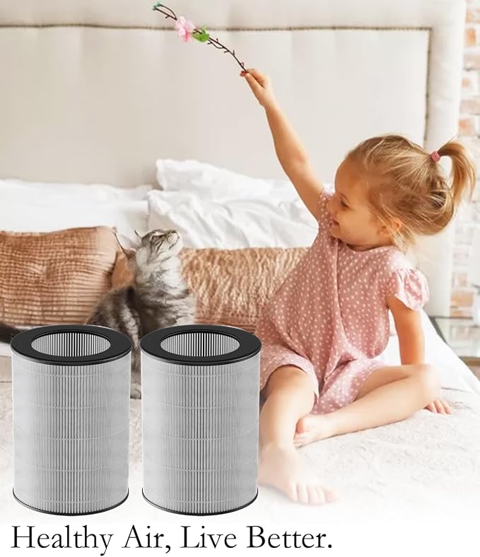 2 Pack DR-HPA019 Replacement Filter Compatible - Image 6