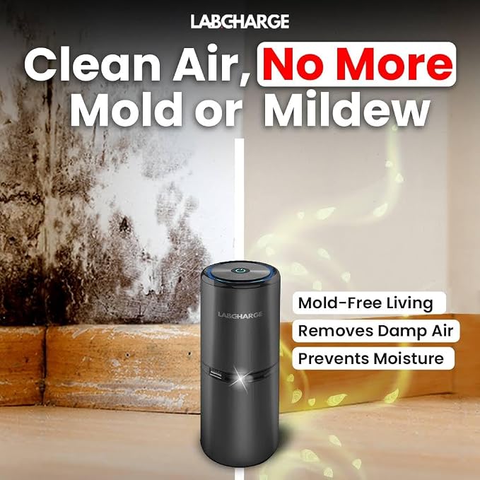 LabCharge Small Ionic Air Purifier - Image 5