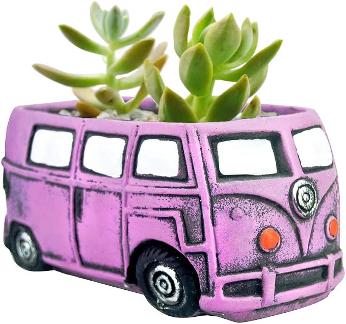 Cute Succulent Plants Pots, Small Planter Pots by Ascrafter