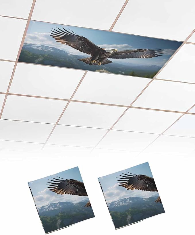 2 Pcs Fluorescent Light Covers for Ceiling Lights, Bald Eagle Soaring Above by Chees+D+Zone