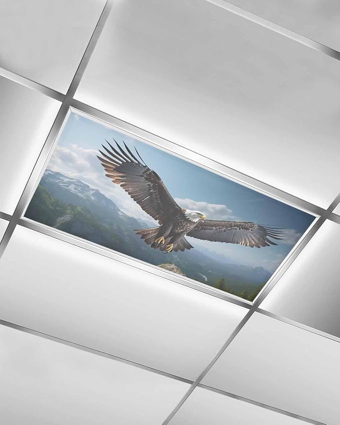 1 Pcs Fluorescent Light Covers for Ceiling Lights, Bald Eagle Soaring Above by Chees+D+Zone