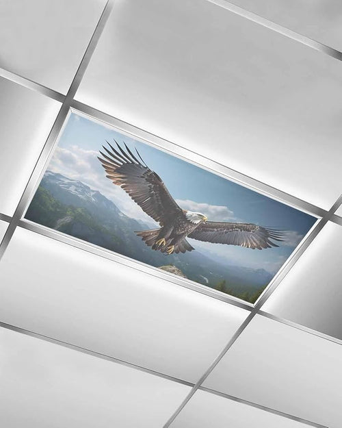 1 Pcs Fluorescent Light Covers for Ceiling Lights, Bald Eagle Soaring Above by Chees+D+Zone