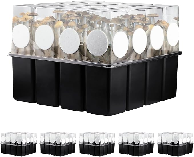 5 Set Monotub with Filter Disks 43.5 Quart Mushroom Grow Kit Vegetable Planting by MOFOGDR