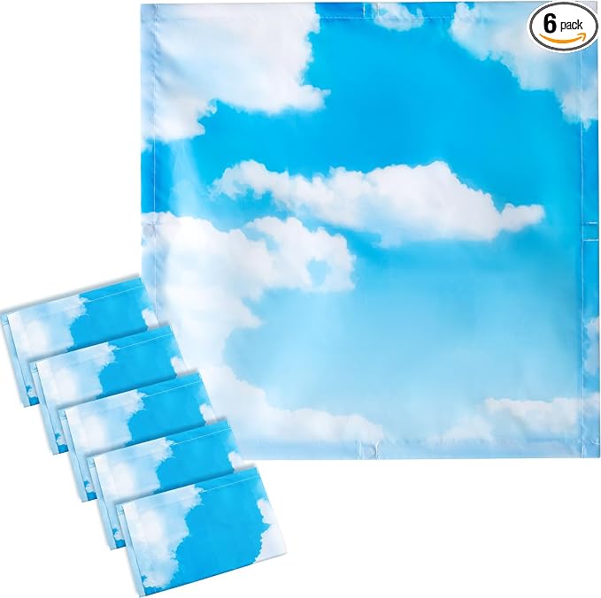 VIHOSE 6 Pcs 2 x 2 ft Fluorescent Light Covers by VIHOSE