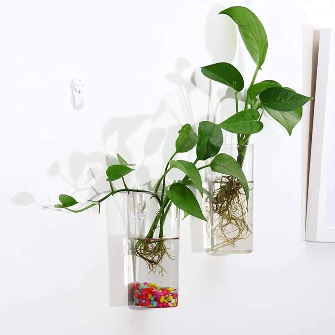 Kingbuy Short Cylinder Wall Planter 2 Pack, air plants, cuttings. Great gift - Image 3
