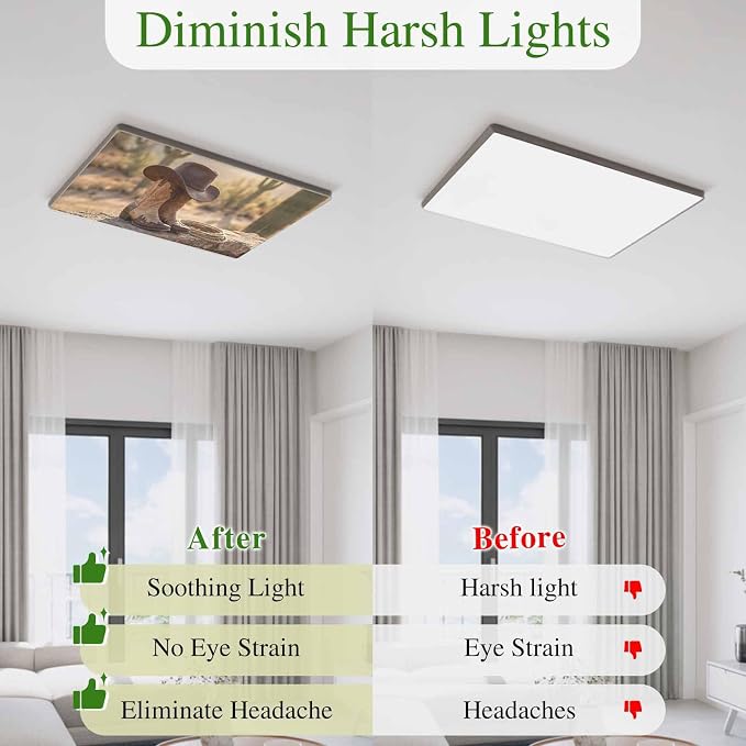 1 Pack Fluorescent Light Cover, Cowboy Western Light Covers - Image 6