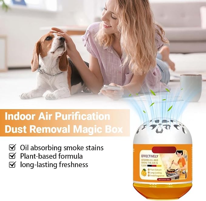 Indoor Air Purification Dust Removal Magic Box, Portable Air Cleaner - Image 5