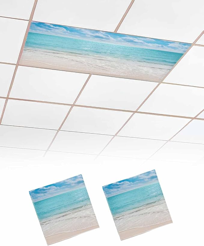 Ocean 2 Pcs Fluorescent Light Covers, 4 x 2 Ft by Gsypo