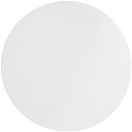 Omicron™ 170090R Nylon Membrane Circle, 0.2 Micron - Image 3