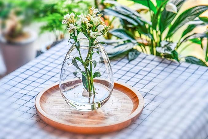 Kingbuy Egg Shaped for Propagating Hydroponic Plants 2 Pack Wall Planter | - Image 6