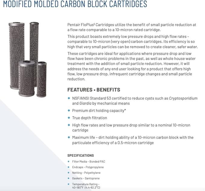 Pentair Pentek FloPlus-20BB Big Blue Carbon Water Filter, Whole House Modified - Image 3