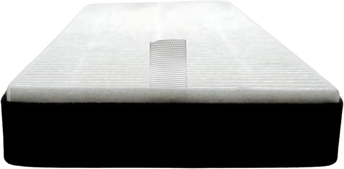 Nispira F1 C01 T02 HEPA Replacement Filter - Image 2
